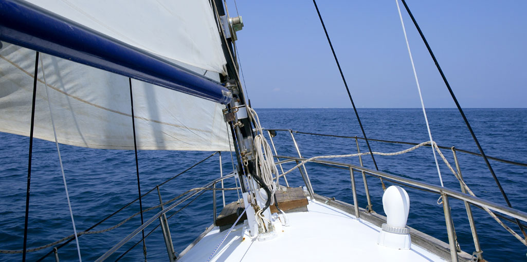 水槽排水保护器