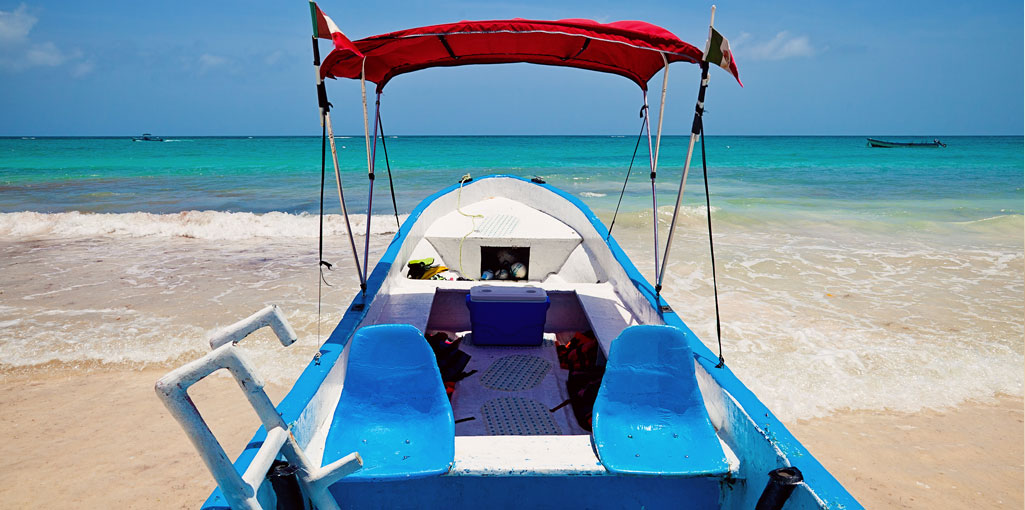 折叠式排水保护器